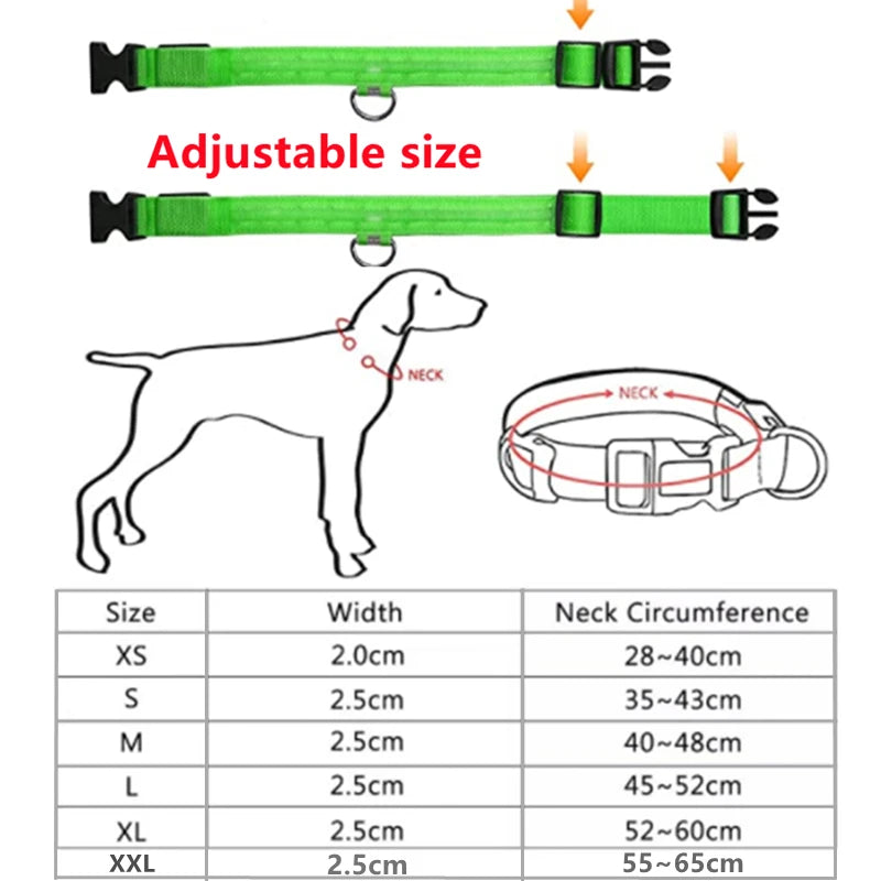 Usb Charging Glowing Dog Collar With Pendant Detachable Luxury Led Light Bright For Small Dogs Cat Night Safety Collar Wholesale