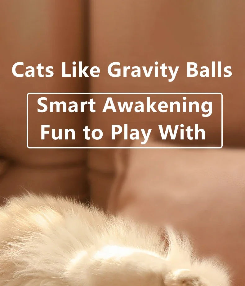 Cat's Accessories Spin Ball Pet Things for Cats Toys ABS Smart Scrolling USB Charging Electric Interactive Toy Supplies Products