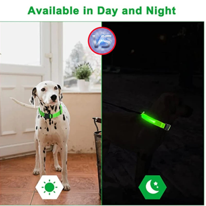 Usb Charging Glowing Dog Collar With Pendant Detachable Luxury Led Light Bright For Small Dogs Cat Night Safety Collar Wholesale